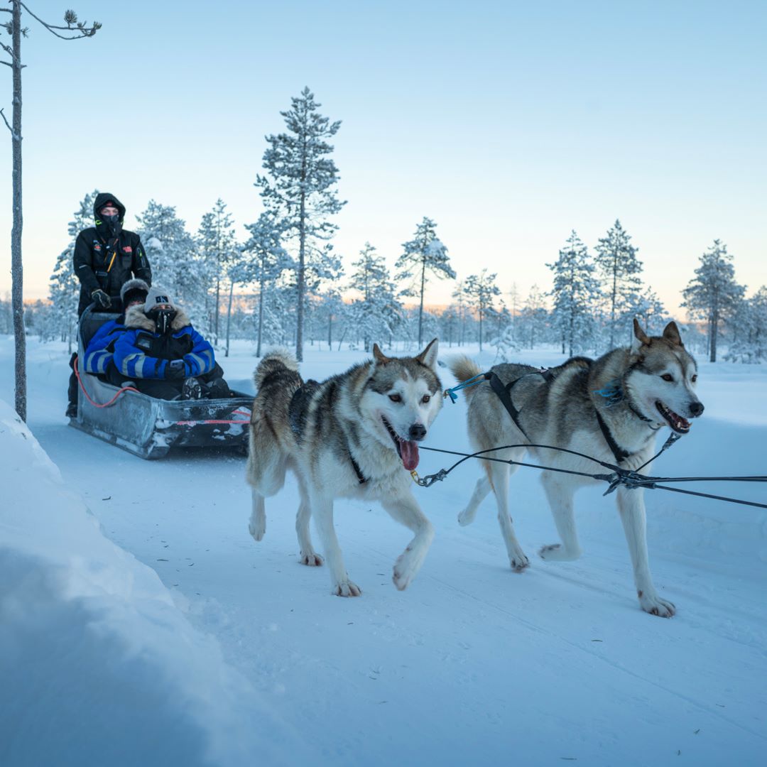 HuskyPark_Huskysafaris_rovaniemi